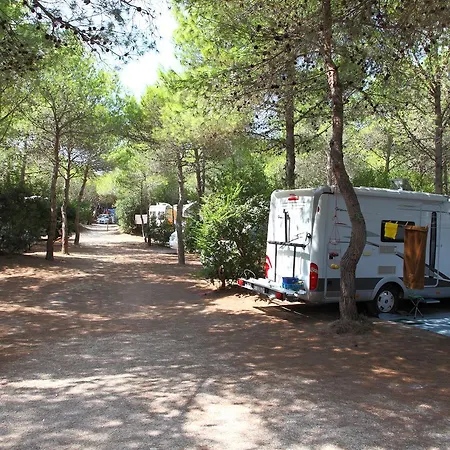 Semesteranläggning (resort) Riva Di 4*