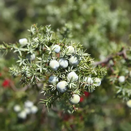 Riva Di Semesteranläggning (resort)