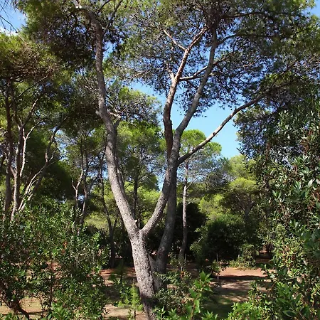 Riva Di Semesteranläggning (resort)