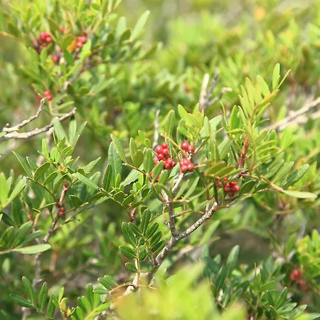 Riva Di Semesteranläggning (resort) 4*