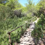 Riva Di