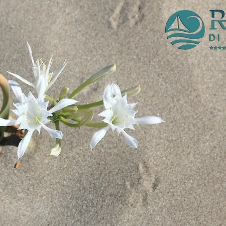 Resort Riva Di Ugento