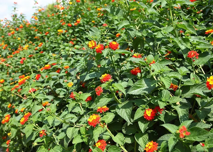 Resort Riva Di Ugento