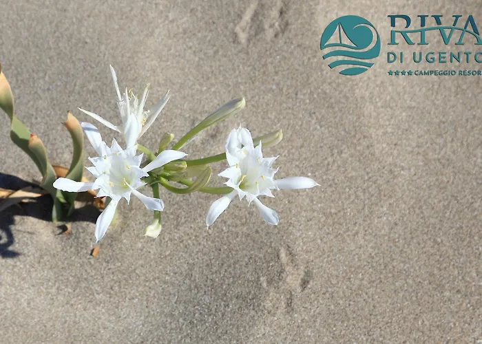 Resort Riva Di Ugento